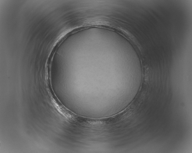 X0000076331031200610201659