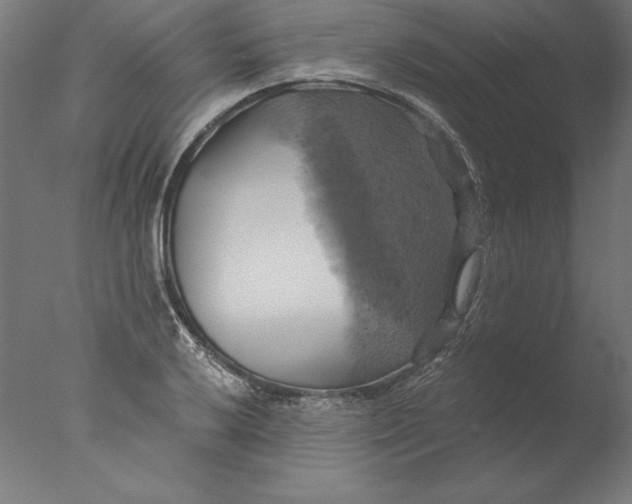 X0000076331032200610201659