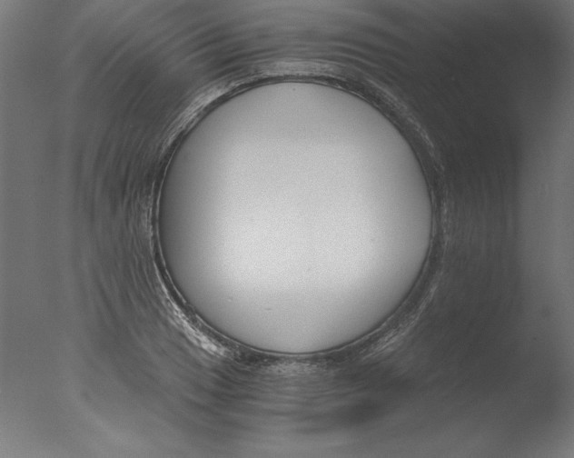 X0000076331033200610201659