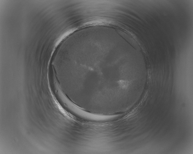 X0000076331034200610201659