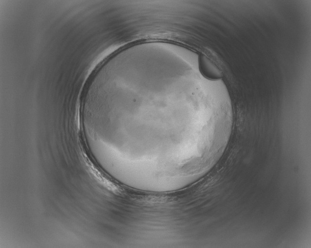 X0000076331036200610201659