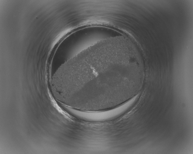 X0000076331038200610201659