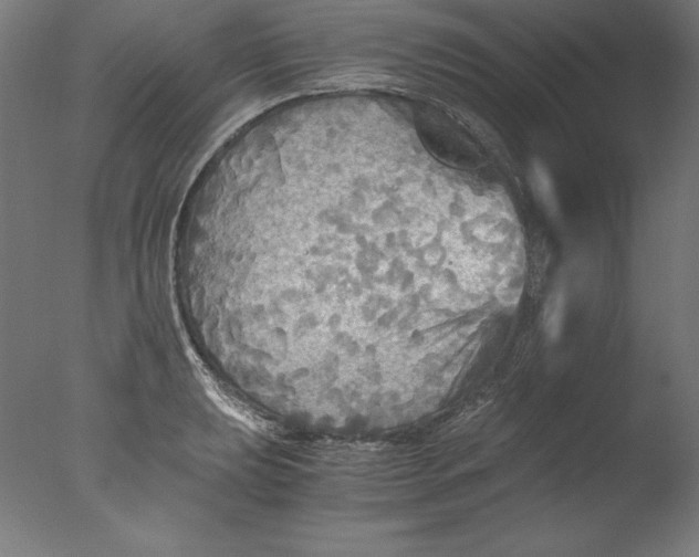 X0000076331039200610201659