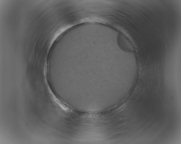 X0000076331040200610201659