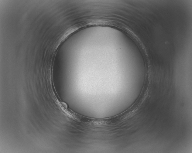 X0000076331041200610201659