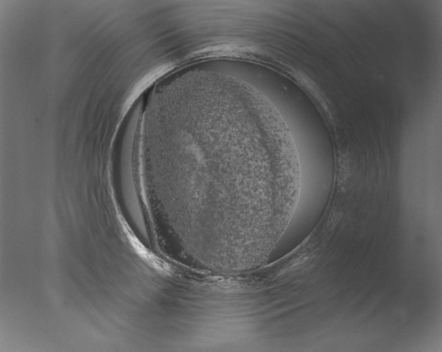 X0000076331042200610201659