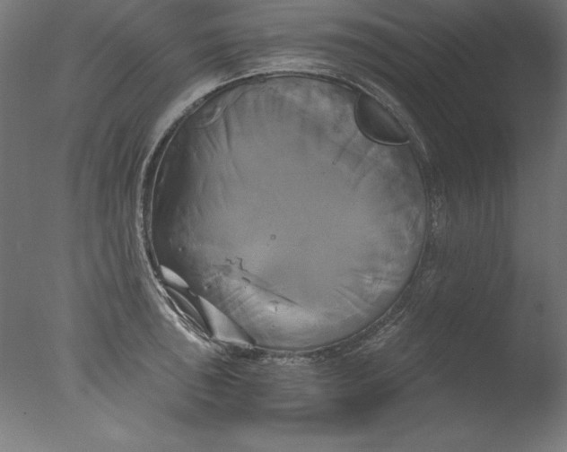 X0000076331043200610201659