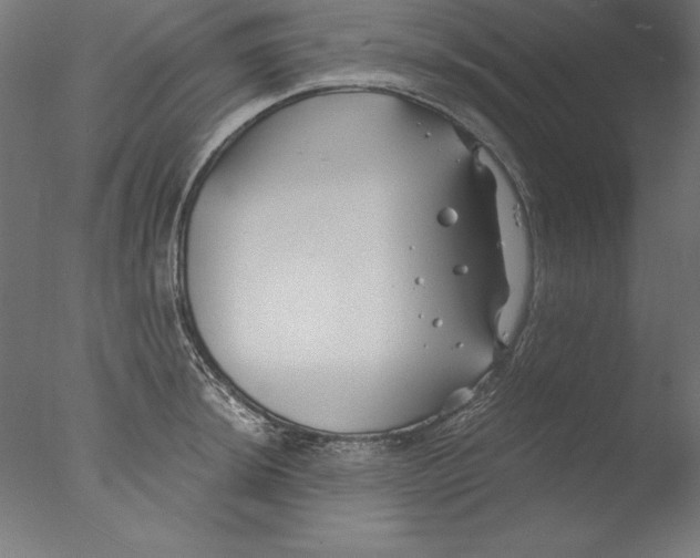 X0000076331044200610201659