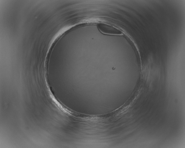 X0000076331045200610201659