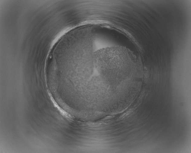 X0000076331046200610201659