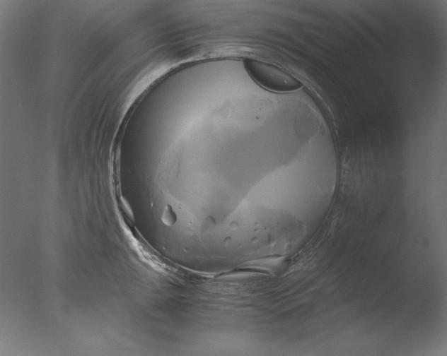 X0000076331047200610201659