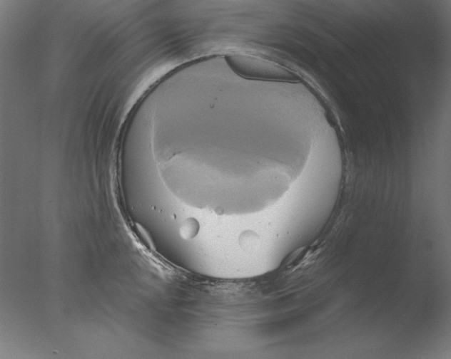 X0000076331048200610201659