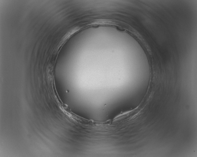 X0000076331049200610201659