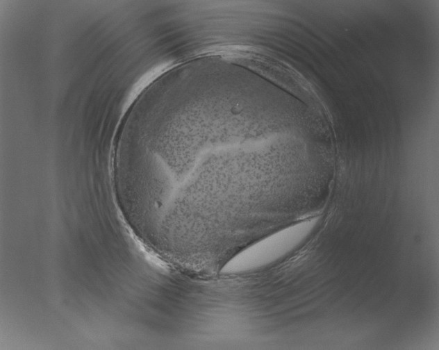 X0000076331050200610201659