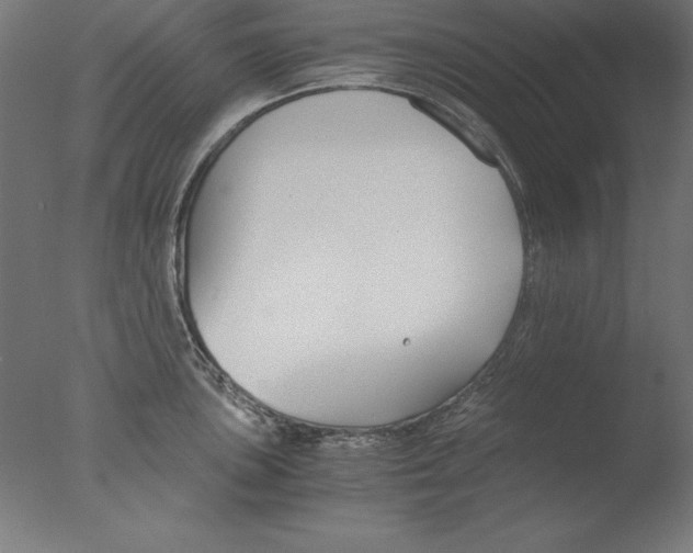 X0000076331051200610201659