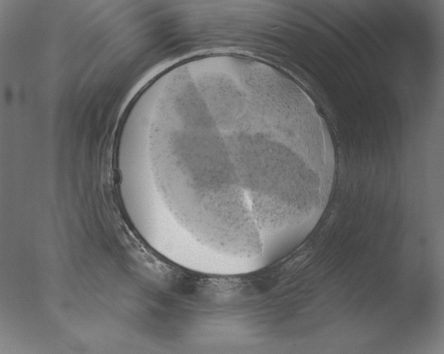 X0000076331052200610201659