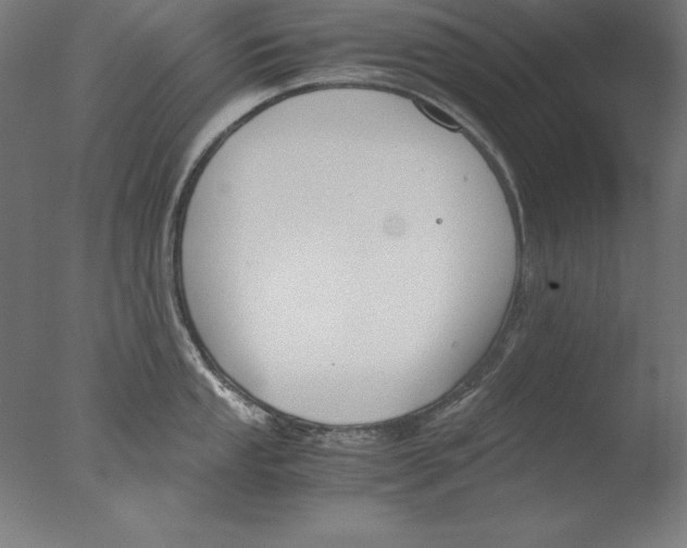 X0000076331053200610201700