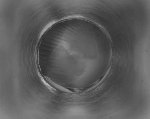 X0000076331054200610201700