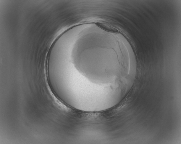 X0000076331055200610201700