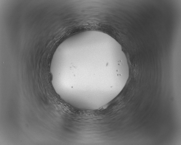 X0000076331057200610201659