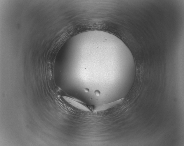 X0000076331058200610201659