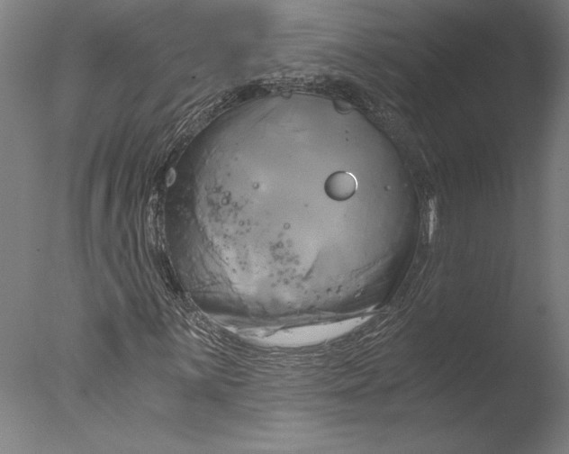 X0000076331059200610201659