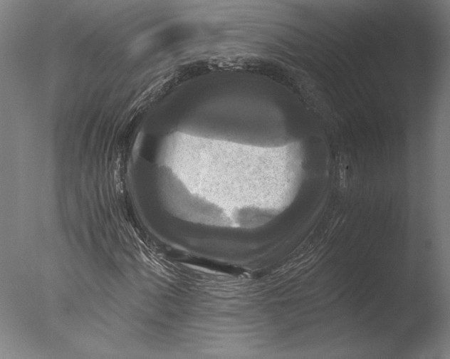 X0000076331060200610201659