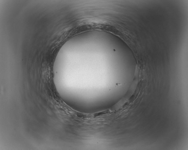 X0000076331061200610201659