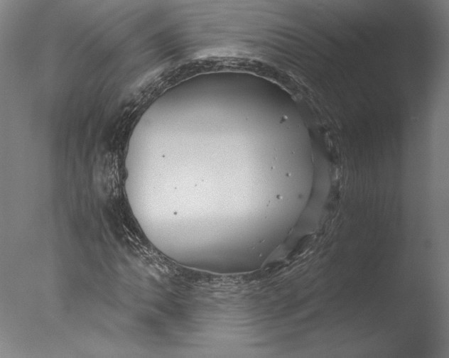 X0000076331062200610201659