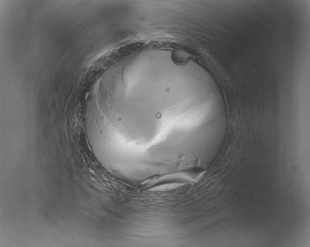 X0000076331063200610201659