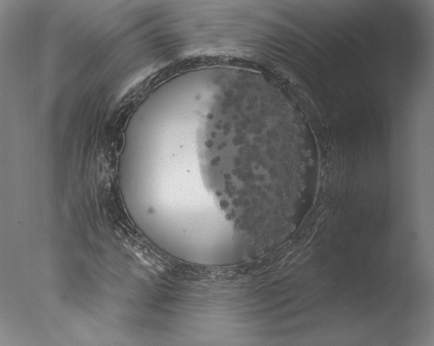 X0000076331064200610201659