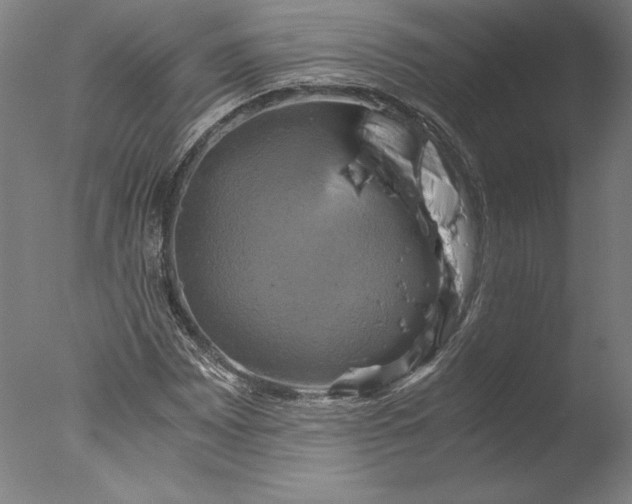 X0000076331065200610201659