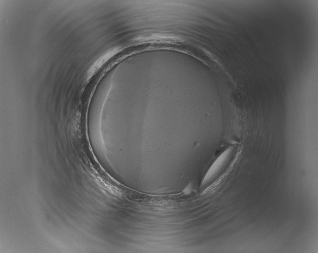 X0000076331066200610201659