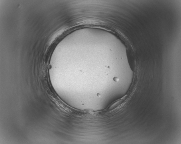 X0000076331067200610201659