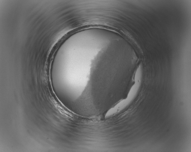 X0000076331068200610201659