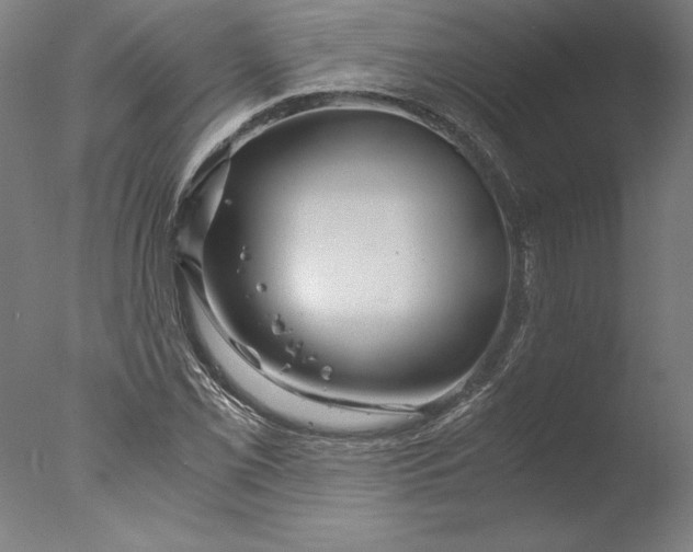 X0000076331069200610201659