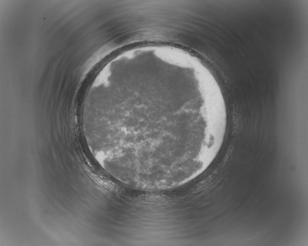 X0000076331070200610201659