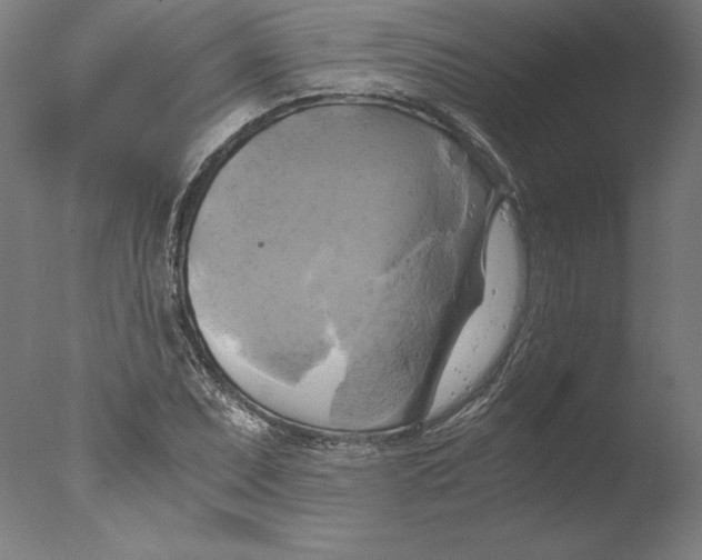 X0000076331071200610201659