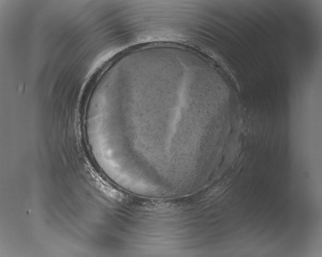 X0000076331072200610201659