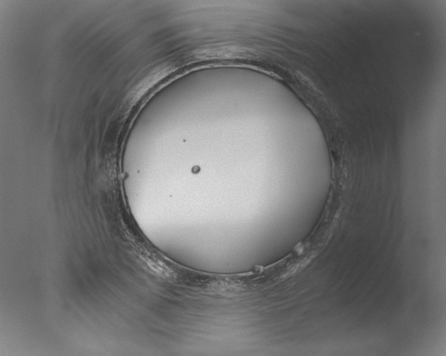 X0000076331073200610201658