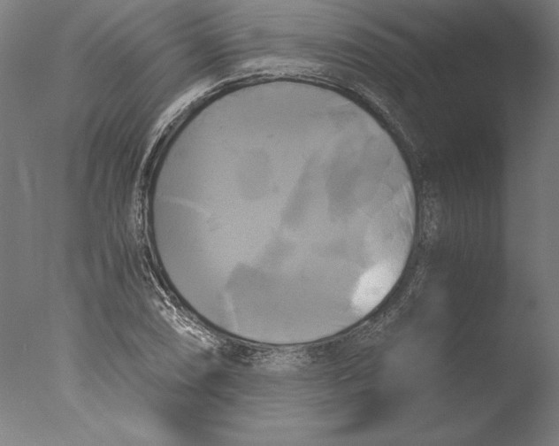 X0000076331074200610201658