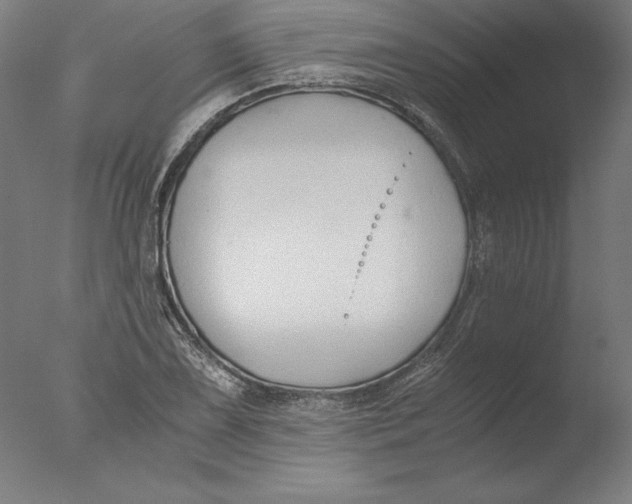 X0000076331075200610201658