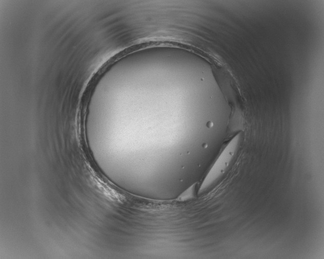 X0000076331076200610201658