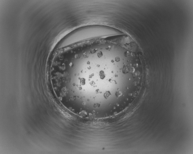 X0000076331077200610201658