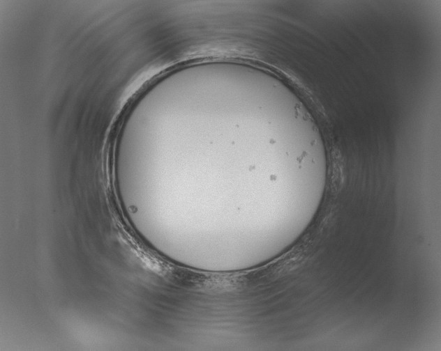 X0000076331078200610201658