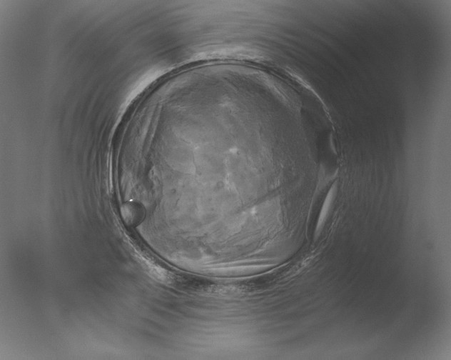 X0000076331079200610201658