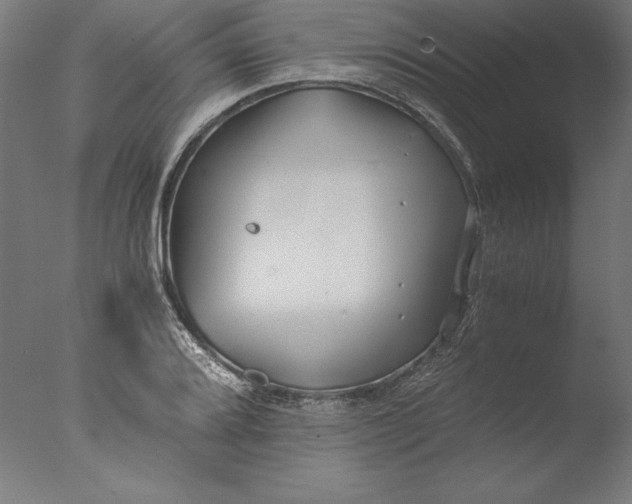 X0000076331080200610201658