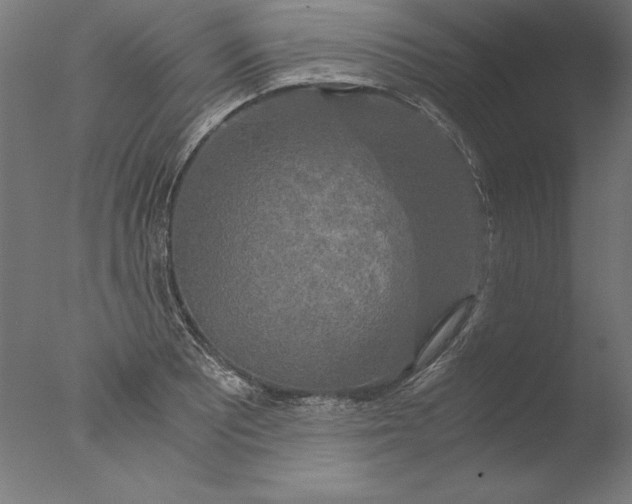 X0000076331081200610201658