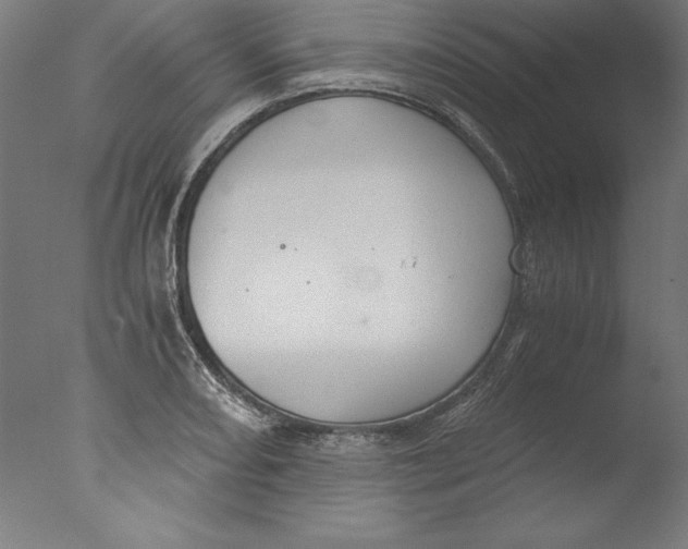 X0000076331082200610201658