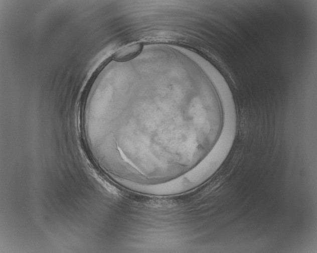 X0000076331083200610201658